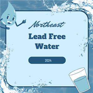  Lead Free